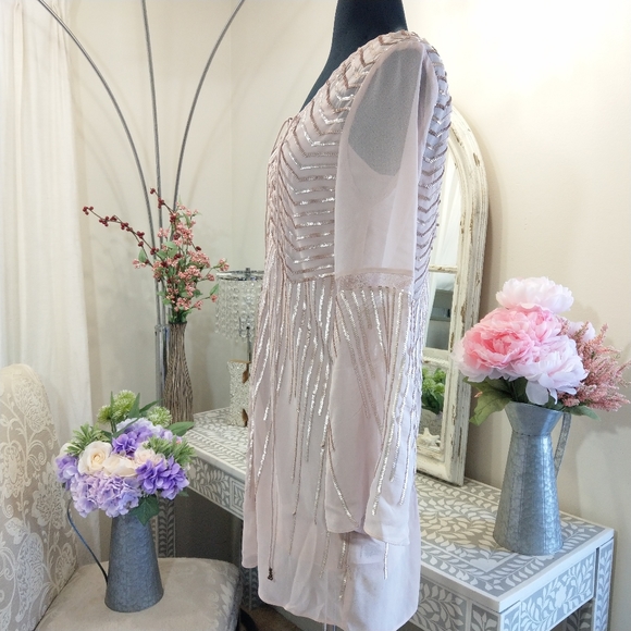 🍒NWT🍒 TJD MINI BLUSH DRESS - Picture 8 of 13